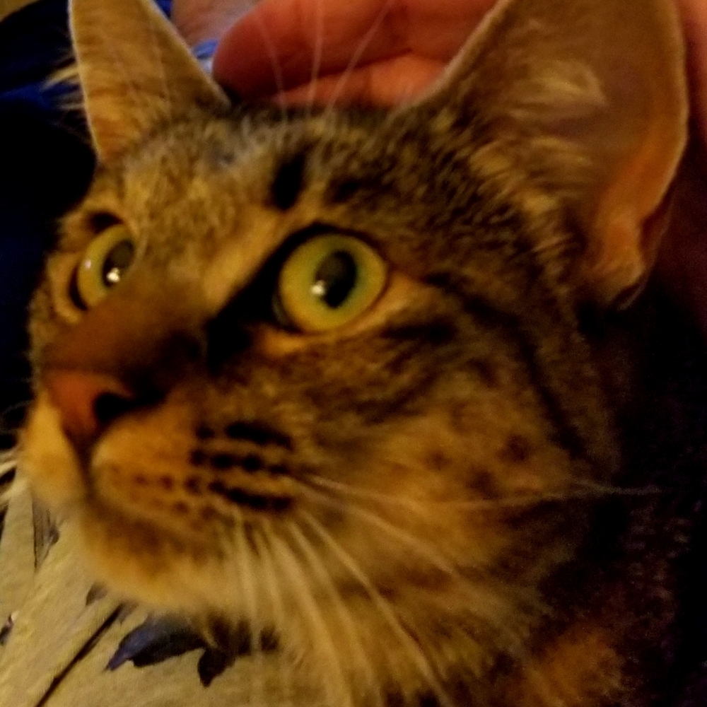 Meet your Posher, Rhonda